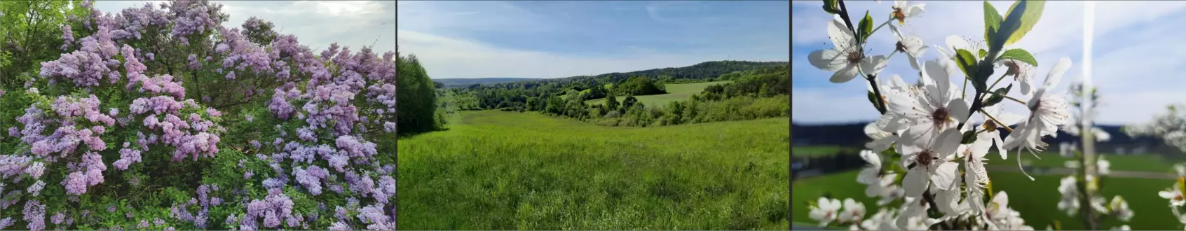 jesień 2