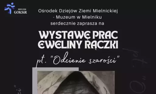 Zdjęcie do Wystawa prac Eweliny Rączki pt. &quot;Odcienie szarości&quot;